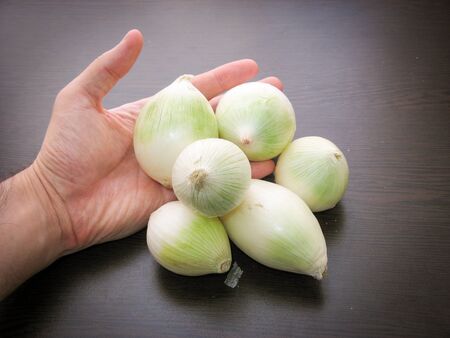 White dry onion bulbs in hand with dark background. Fresh raw onions on wooden table. closeup of unpeeled onions.の写真素材