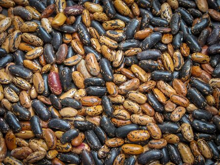 Closeup of a grain of  bean seeds.Close up beans background. These beans (Phaseolus vulgaris)  plant...