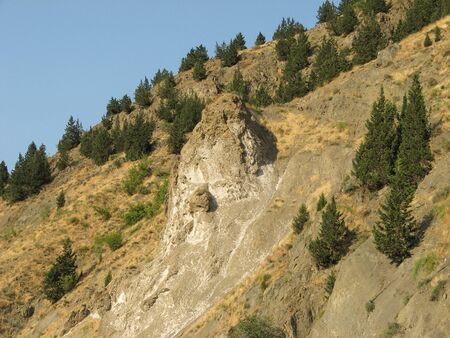 Mountain with tree patches on it and blue sky in summer.の写真素材