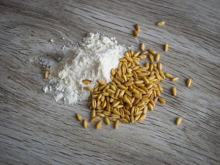 Whole grain wheat flour and wheat grains  isolated on wooden background. Grains of wheat and wheat flour close-up.の写真素材