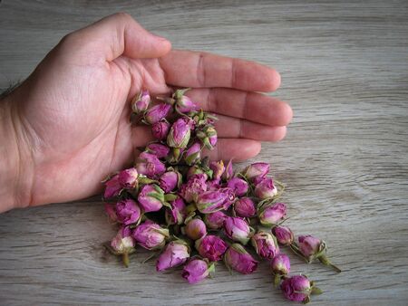 Organic dried pink rose buds in male hand on wooden background. Aromatherapy concept. Dried rose buds for cosmetics, food, medicine and perfume. Close up of Rose tea. Healthy food concept.の写真素材