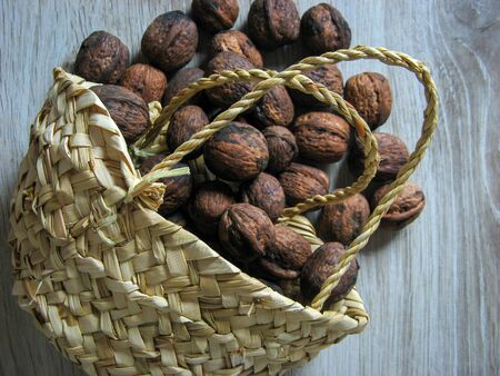 Walnuts scattered from the small wicker basket on  wooden table. Close-up. Walnuts picked from the...