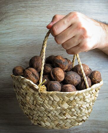 Walnuts picked from the tree inside the basket in male hand on wooden background. Walnuts collected in a basket. Healthy food concept. Close up.の写真素材