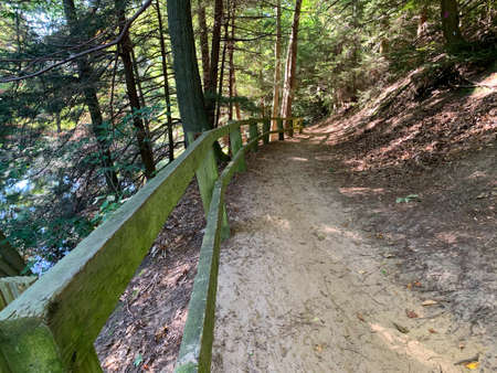 Hoffmaster state park michigan, USA. michigan park path in summer day. Walking path in michigan park.の写真素材