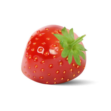 Red strawberry with green root. 3d vector illustrationのイラスト素材