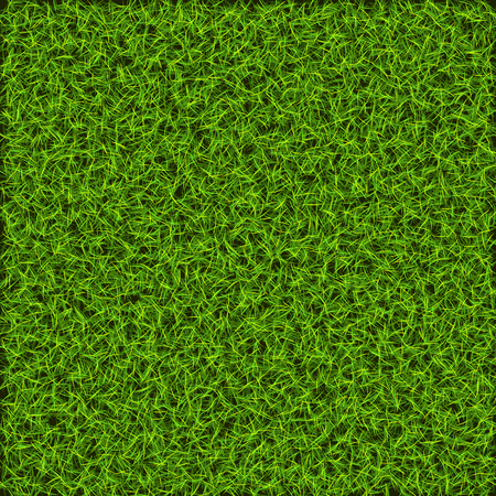 Green nature lawn grass. Backdrop for designのイラスト素材