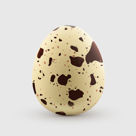 Quail egg isolated on white background. Healthy and natural food. Vector illustrationのイラスト素材