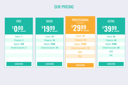 The design of tariffs for virtual hosting, VDS and VPS. Vector illustration.のイラスト素材