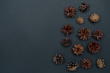 Pine cones. Natural materials for crafts. Top view with copy space, flat lay.の写真素材