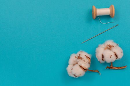 Cotton flowers, spool of thread and needle. Accessories for sewing. Top view with copy space, flat lay.の写真素材