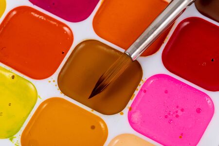 Set of watercolor paints and synthetic brushes for painting. Drawing process.の写真素材