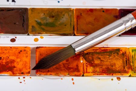 Set of watercolor paints and synthetic brushes for painting. Drawing process.の写真素材