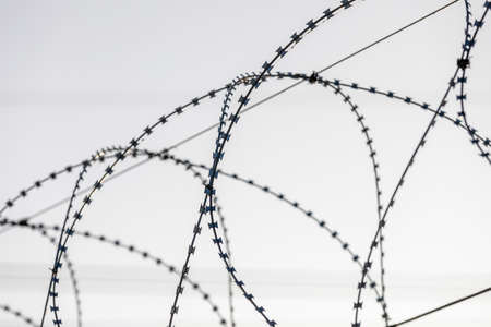 Sharp pointed razor wire barbed fence coiled on top of wall protects from prisoners and criminals in...