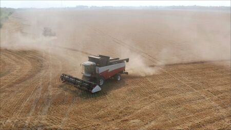 Harvesters work in the field. Harvesting of wheat in summer. Two red harvesters working in the field. Combine harvester agricultural machine collecting golden ripe wheat on the field. View from above.の写真素材