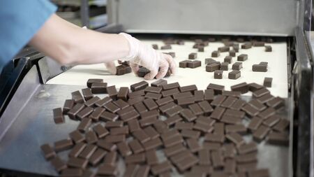 Chocolates on the conveyor. Production line for the production of chocolates. Candy covered with...