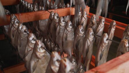 Dried cod at a Norwegian fish factory. Mass drying of dried fish at a fish factory.
