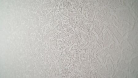 Beautiful woman, fitness instructor, in light clothing, is training in nature. Shows exercises from yoga, Pilates, deep work, step aerobics. Young woman shows pilates exercises in nature.の写真素材