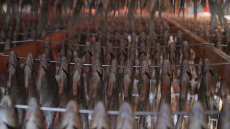 Processing dried fish at a fish factory. Fish drying. fish seafood factory