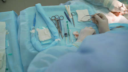 Physician assistant. Medical worker, laboratory assistant holds in the instruments for the operation.の写真素材