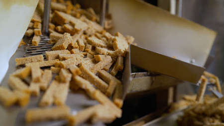 Bread crackers on the conveyor. The process of making crackers. Cracker production. Croutons on the...