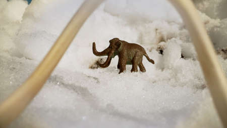 Mammoth stands in permafrost. Figurine of a mammoth on a background of snow.の写真素材
