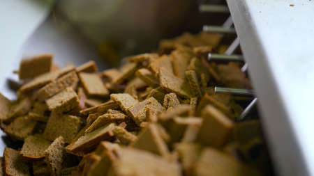 Bread croutons close-up in production. Production process of delicious breadcrumbs. Bread crackers,...