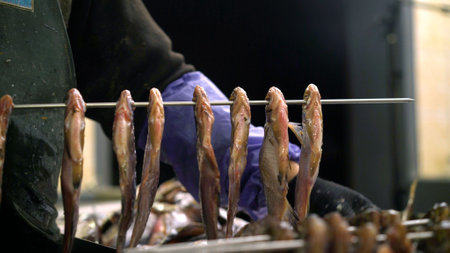 Worker wearing gloves is hanging rows of fresh fish on metal rods, preparing them for the smoking...