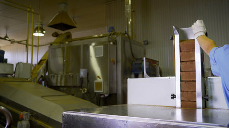 Conveyor belt transporting materials in an automated manufacturing facility, showcasing modern...