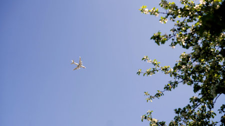 Sleek white passenger aircraft soaring high above blossoming tree canopy against vibrant clear blue...