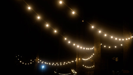 Warm string lights beautifully illuminate the night among tall trees in a serene forest setting,...