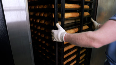 Professional baker carefully arranging fresh bread loaves on industrial oven trays, ensuring consistent baking and optimal golden-brown qualityの写真素材