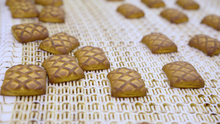 Freshly baked cookies travel on a conveyor belt, ready for packaging in a food production facility