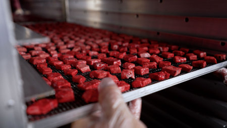 Gloved hands holding a metal grid tray full of red meat cubes undergoing a drying process in a food...