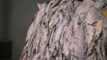 Frozen fish blocks gliding smoothly along industrial conveyor belt inside modern food processing...