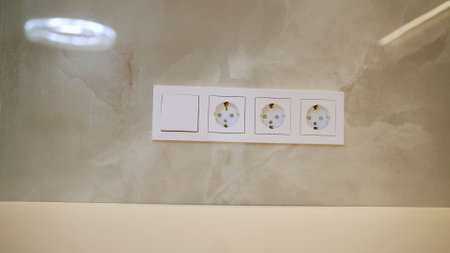 White european standard electrical sockets and a light switch are installed on a marble wall,...