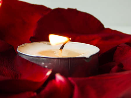 the candle burns in rose petalsの写真素材