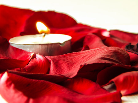 the candle burns in rose petalsの写真素材