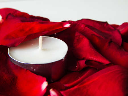 rose petals and a candle among themの写真素材