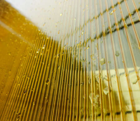 yellow polycarbonate stands upright with raindropsの写真素材