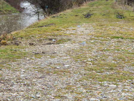 river in spring, a lot of water, rocky shoreの写真素材
