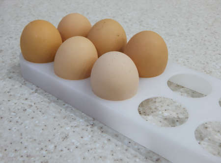 Chicken eggs lie in a tray on a light background