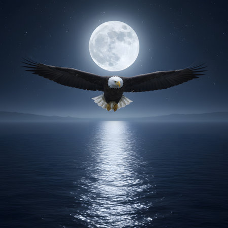 Bald Eagle Soaring Toward Full Moon Over Ocean Horizonの素材
