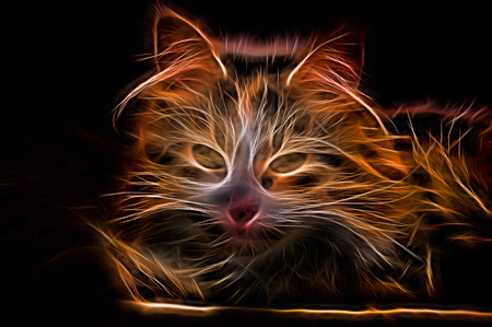 Electric effect Glowing Catの写真素材