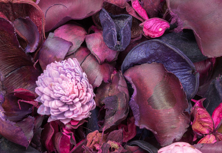 Pot Pourri backgroundの写真素材