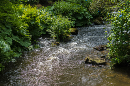 Water running down a riverの写真素材