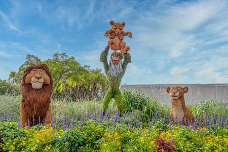 Rafiki, Simba, Mufasa and Nalacharacter topairy displayed at Epcot at part of the Flower and Garden festivalのeditorial素材