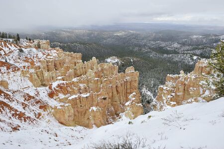 National Parks   natural wonders of Utah during snow storm  Ponderosaの写真素材