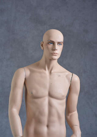 Mannequin/Padded Toy Bear/Padded Toy Dogの写真素材