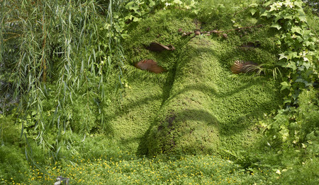 plant carving representing human face at Phipps Conservatory in Pittsburg, PA. USAの写真素材
