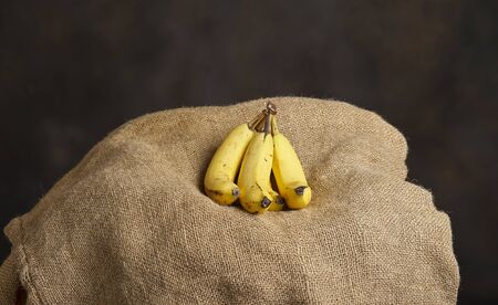 Yellow banana bunch photographed with burlap bag as backdrop. Studio shot.の写真素材